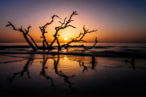 alvorecer, Geórgia, Jekyll Island, panorama, verão, Nascer do sol, O oceano, EUA