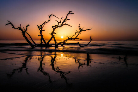 gryning, georgien, Jekyll Island, landskap, sommar, Soluppgång, Havet, USA