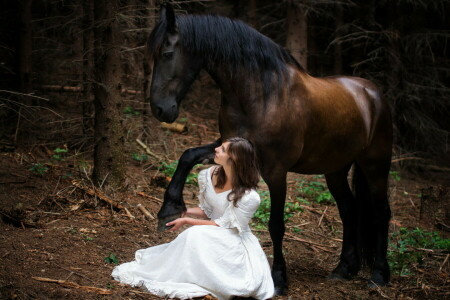 fille, cheval, la nature