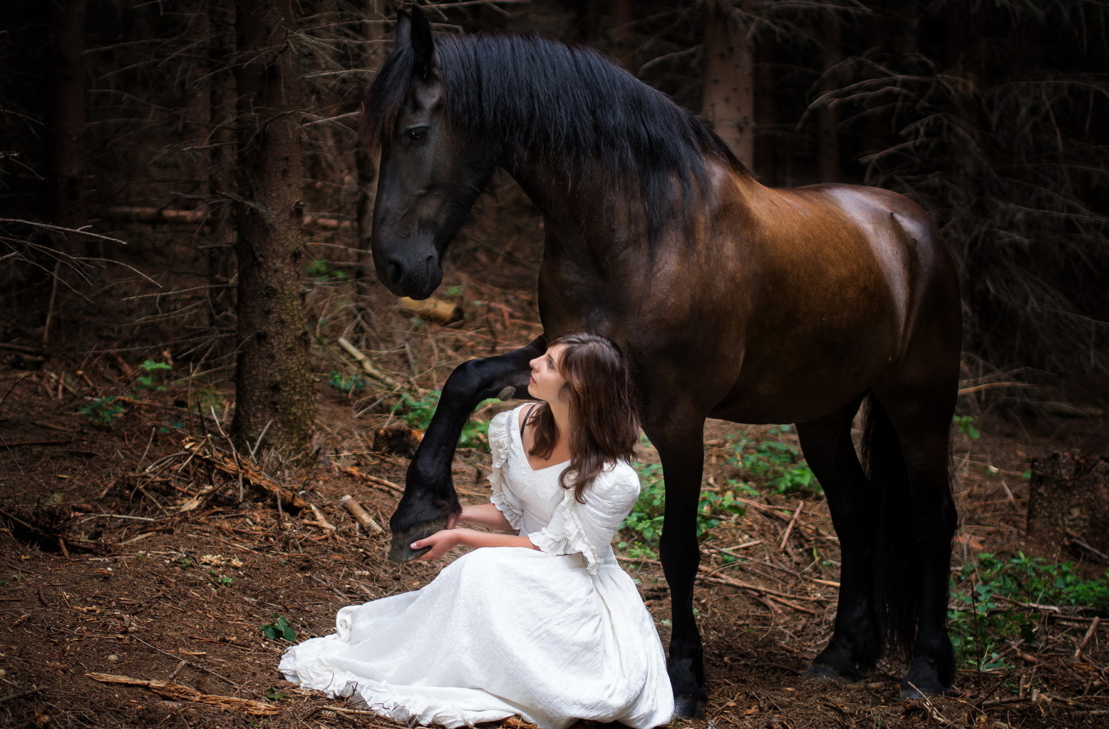 natura, ragazza, cavallo