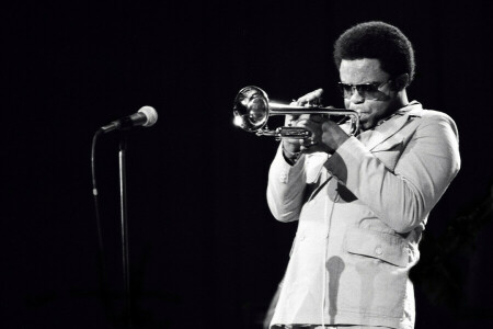 Freddie Hubbard, jazz, jazzový hudebník, mikrofon, Hudba, hudebník, trubka, trumpetista