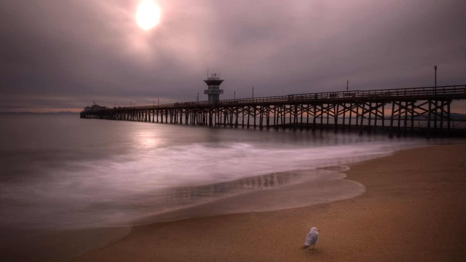 the sky, sea, clouds, USA, bird, HDR, California, pierce