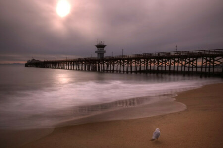 uccello, California, nuvole, HDR, Orange County, forare, mare, il cielo