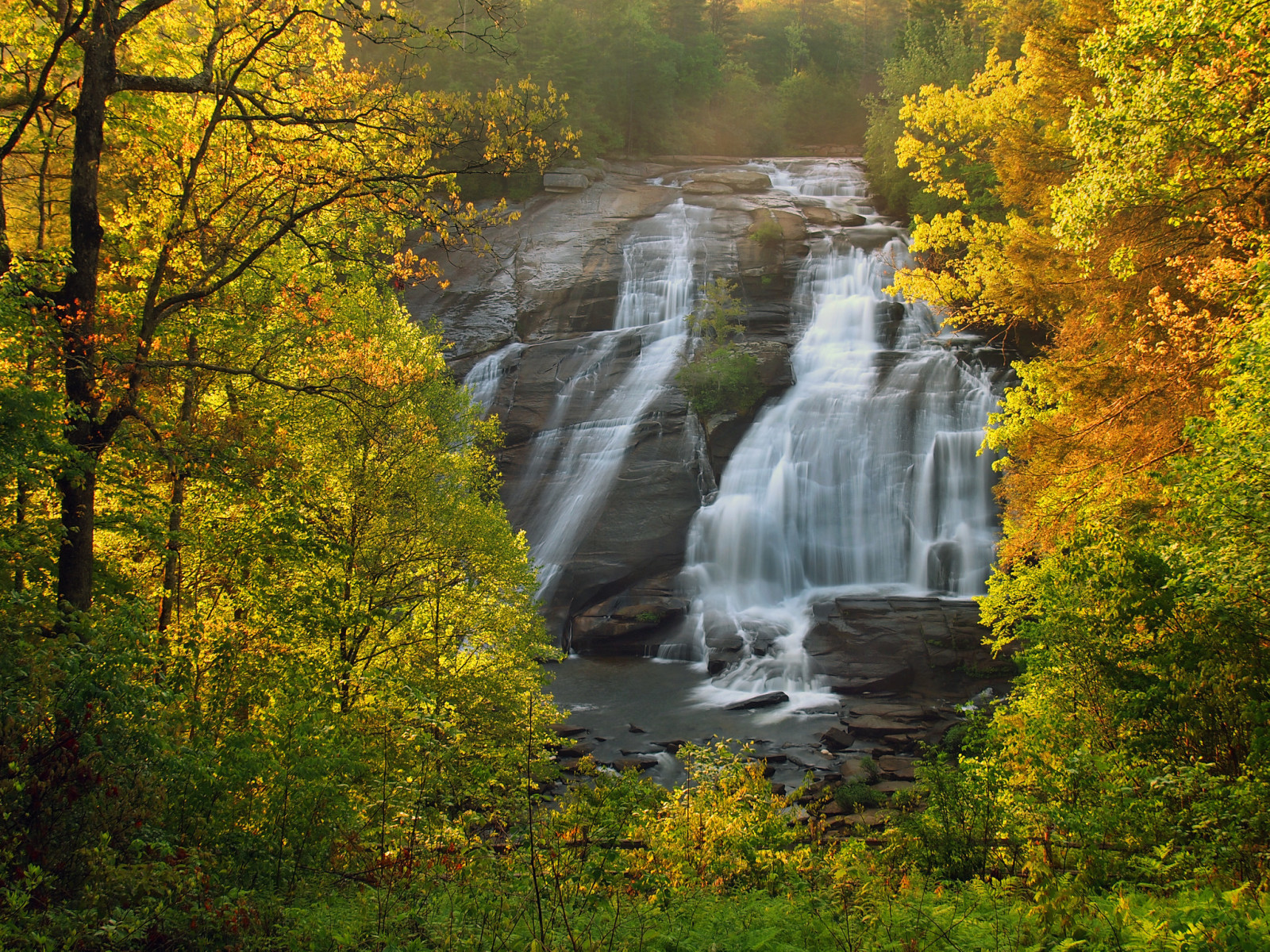 höst, skog, träd, vattenfall, norra Carolina, DuPont State Forest, High Falls