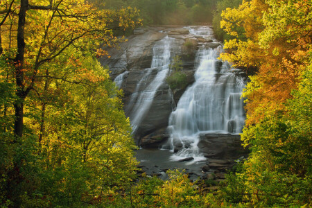 outono, DuPont State Forest, floresta, High Falls, Carolina do Norte, árvores, cascata