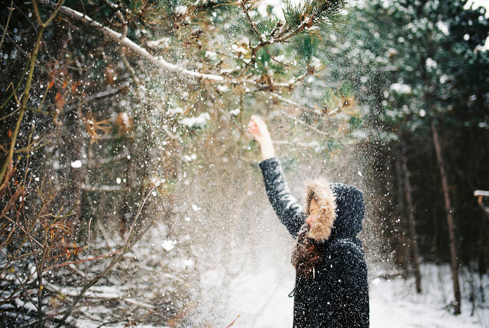 Schnee, Geäst, Mädchen, Winter, Kapuze, Jacke, Stürze