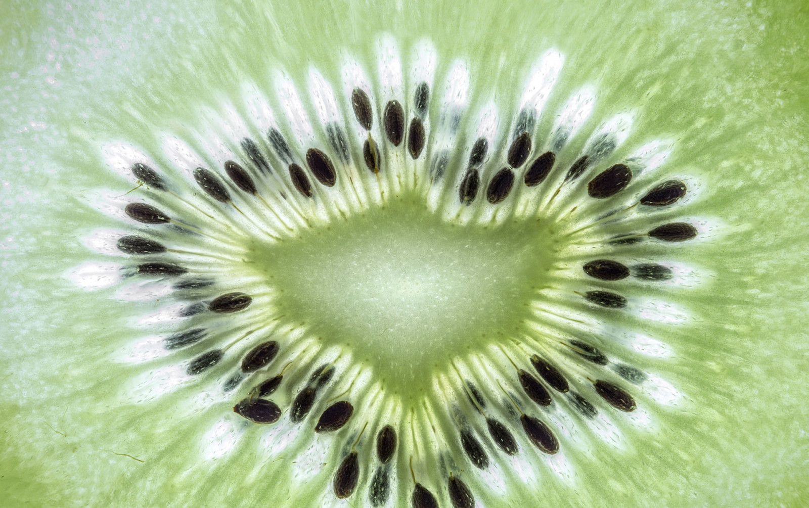 textura, comida, kiwi, Fruta