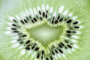 nourriture, fruit, kiwi, texture