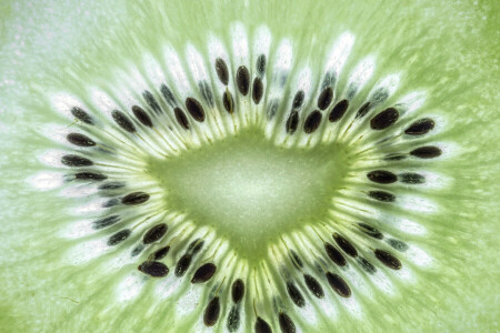 food, fruit, kiwi, texture