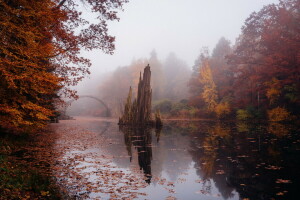 herfst, Brug, rivier-