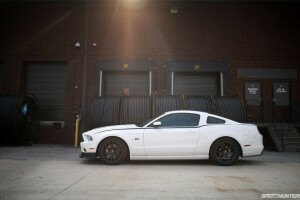 2013, lys, Mustang