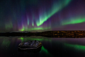 notte, Aurora boreale, Norvegia, stelle