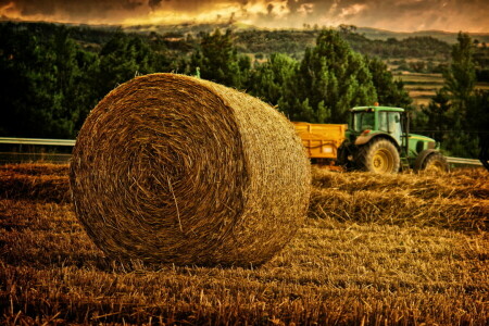 heno, prado, rodar, Eje, tractor