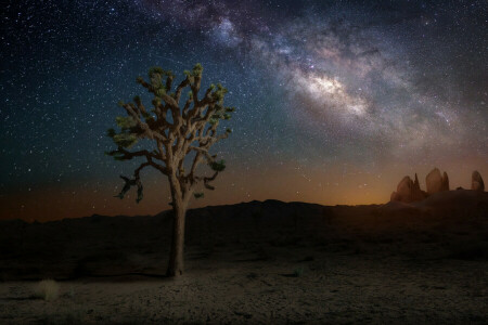 California, nature, night, stars, the milky way, the sky, tree