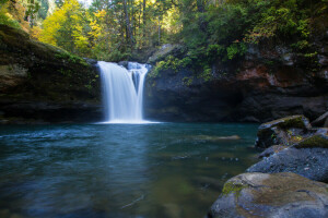 Coos County, les, Oregon