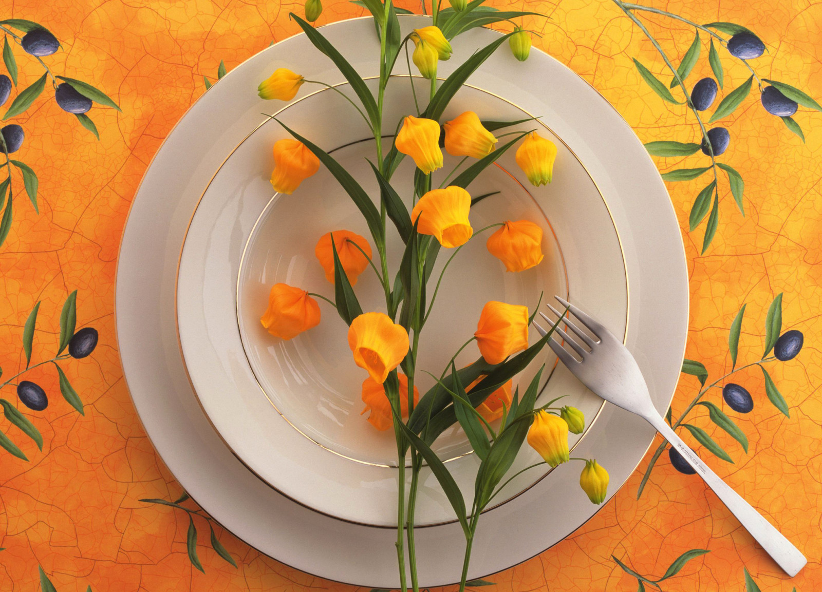 Still life, flowers, plate, plug