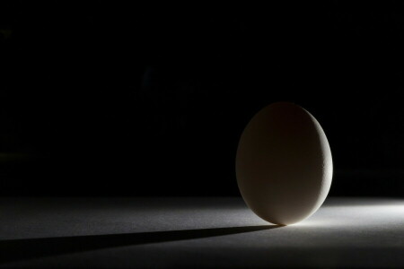 egg, form, light, shadow