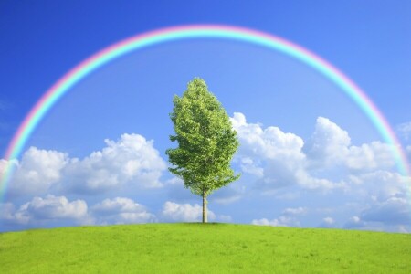 field, nature, rainbow, tree