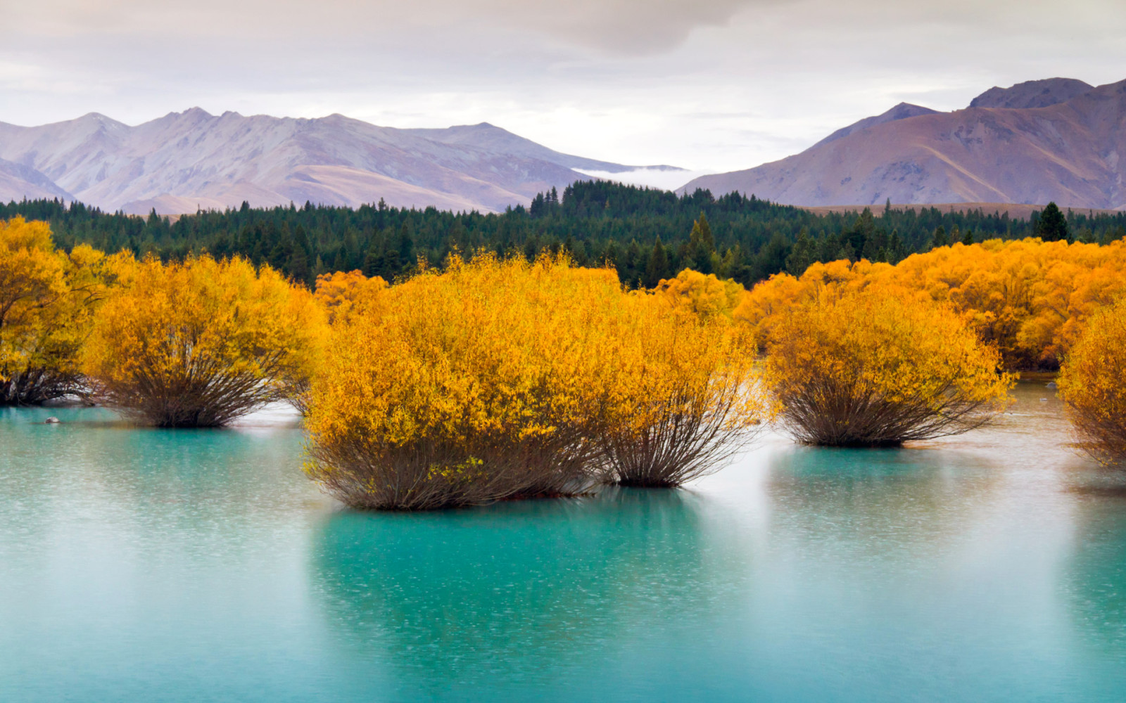 erdő, tó, tájkép, hegyek, Új Zéland, South Island