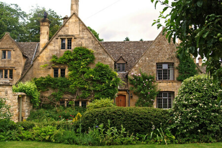 England, græs, hus, Foto, Tewkesbury, buskene, byen