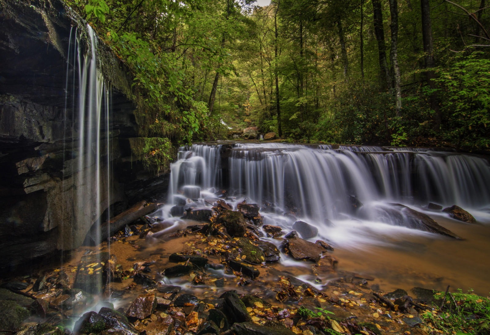 floresta, pedras, cascata, cascata, Carolina do Norte, Pearson's Falls, Saluda