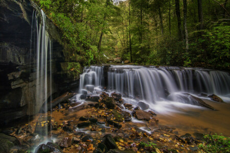 cascade, Woud, Noord Carolina, Pearson's Falls, Saluda, stenen, waterval