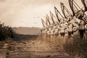 antenne, achtergrond, veld-