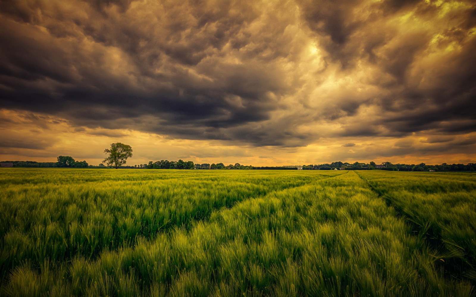 natur, himmelen, fält