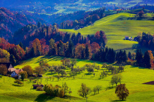 осень, лес, трава, дом, горы, деревья