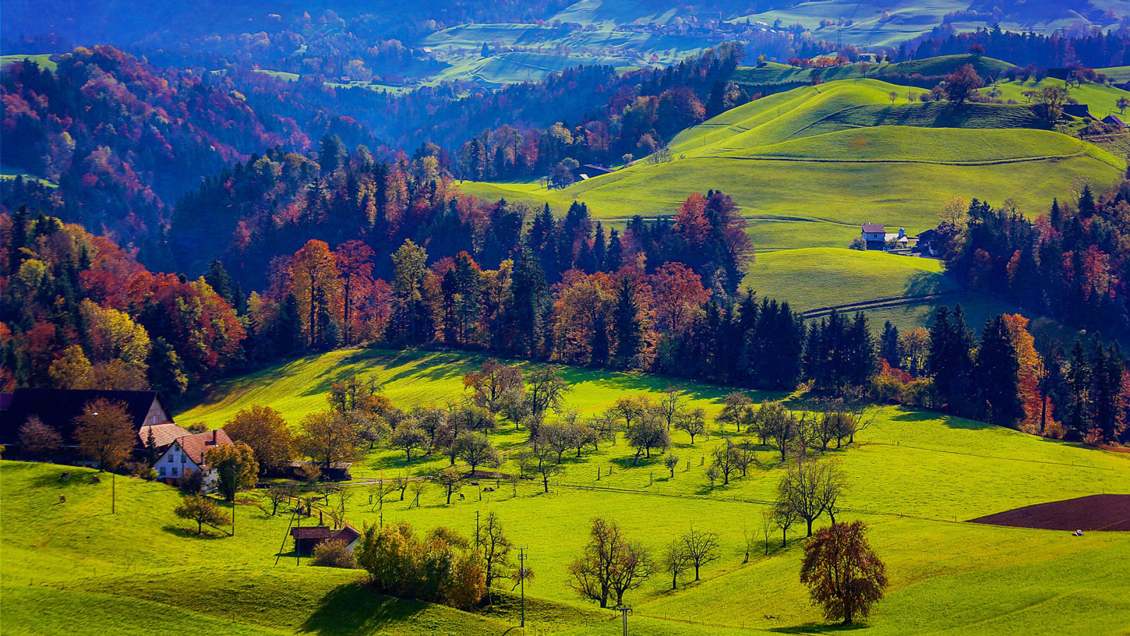 осень, лес, трава, деревья, горы, дом