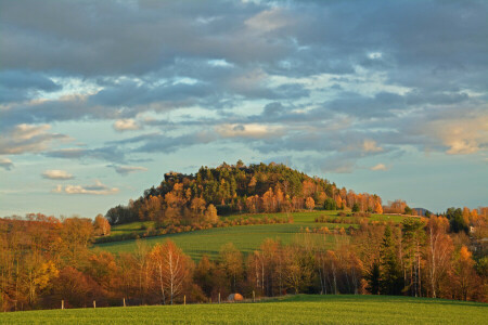 höst, moln, fält, Berg, backe, himmelen, träd