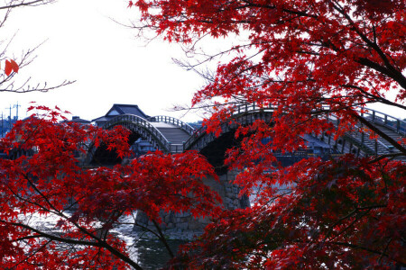 arched, Japan, Kintai, The Kintai, trees