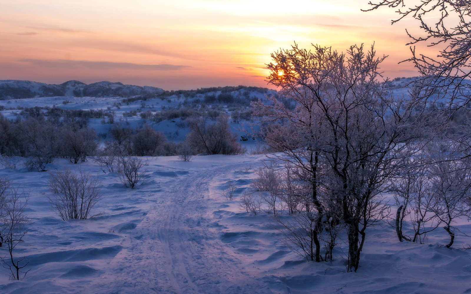 sneeuw, zonsondergang, weg