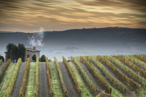 peisaj, natură, Toscana