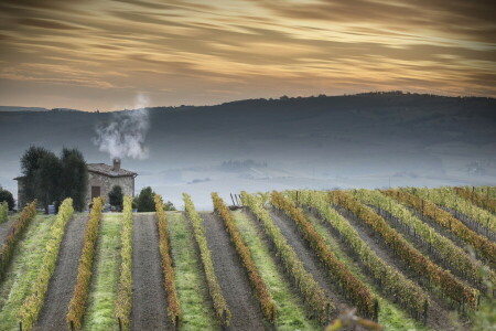 maisema, luonto, Toscana