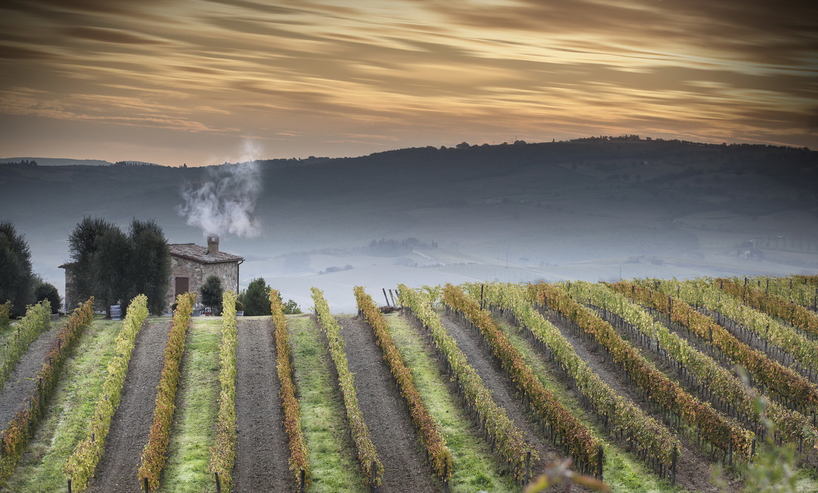 nature, landscape, Tuscany