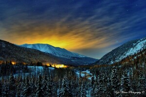 kanada, skog, glöd, landskap, natt, snö, vinter-