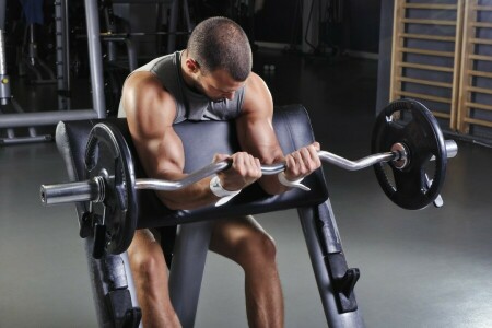 arms, fitness, pose, weight bar, workout