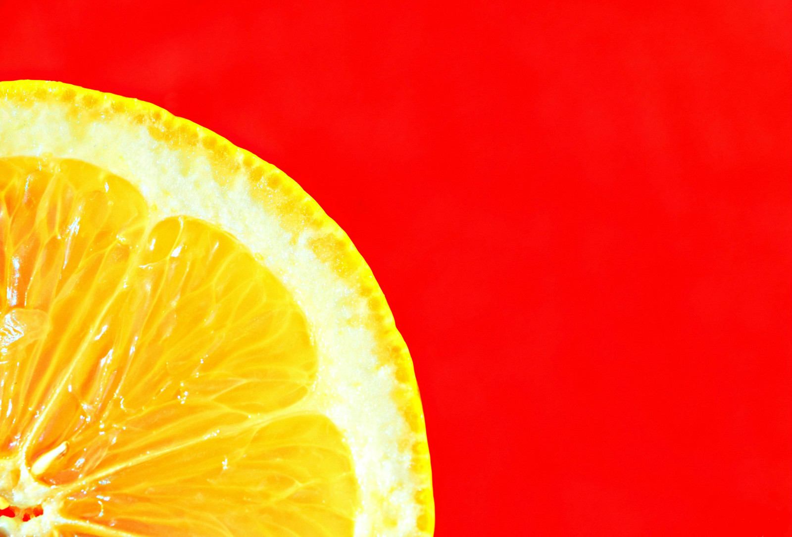 macro, minimalisme, citron, tranche, fond rouge