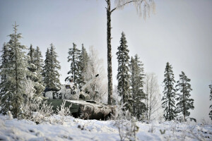 Exército, armas, inverno