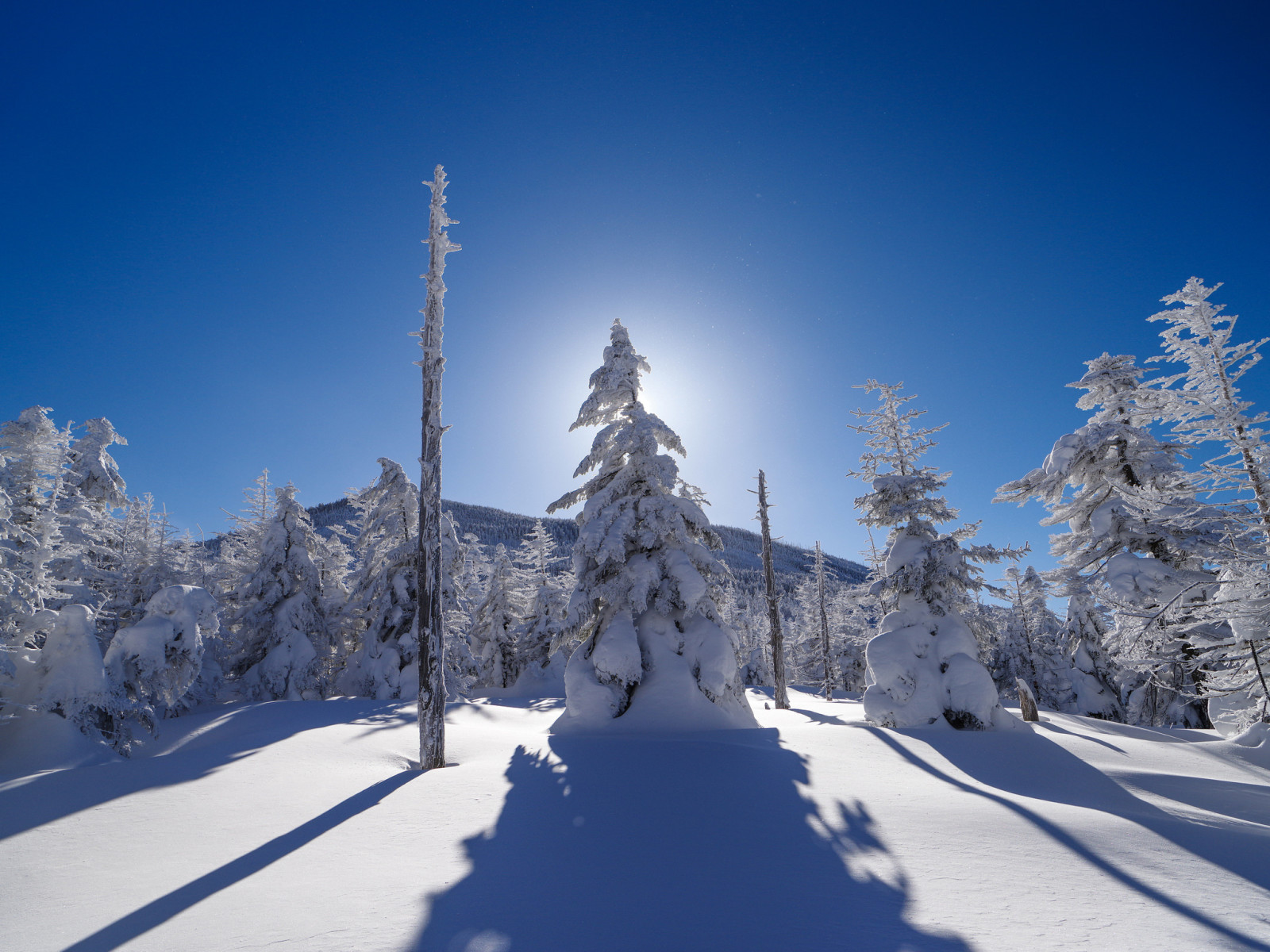 nieve, el cielo, invierno, arboles, montañas, Rayos