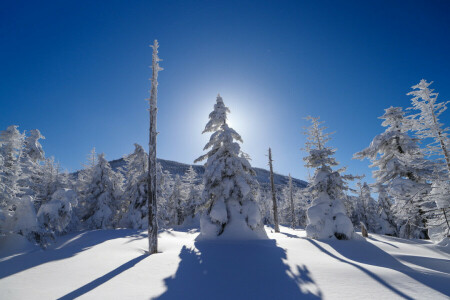 Berge, Strahlen, Schnee, der Himmel, Bäume, Winter