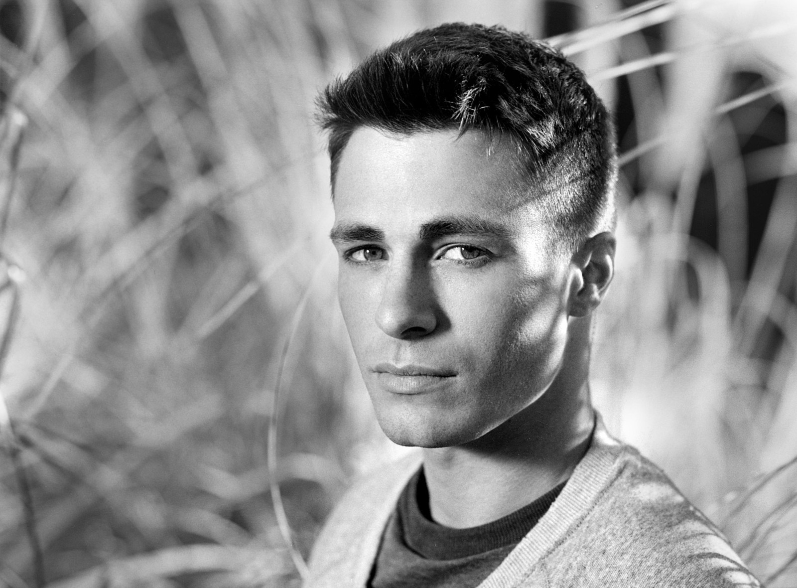 portret, aktor, Colton Haynes