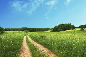 clouds, field, grass, road, sky, the sky, trees