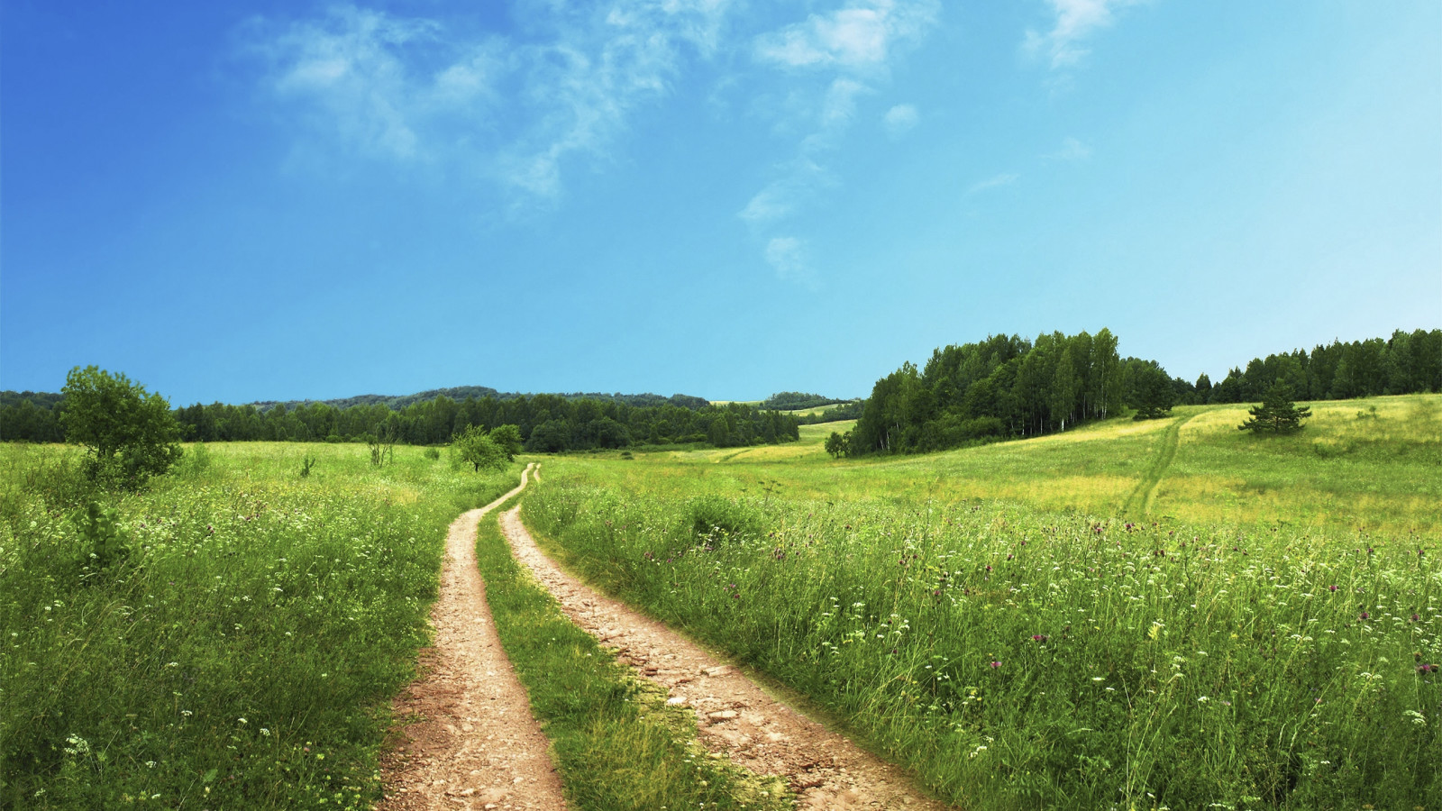 césped, el cielo, la carretera, arboles, campo, nubes, cielo