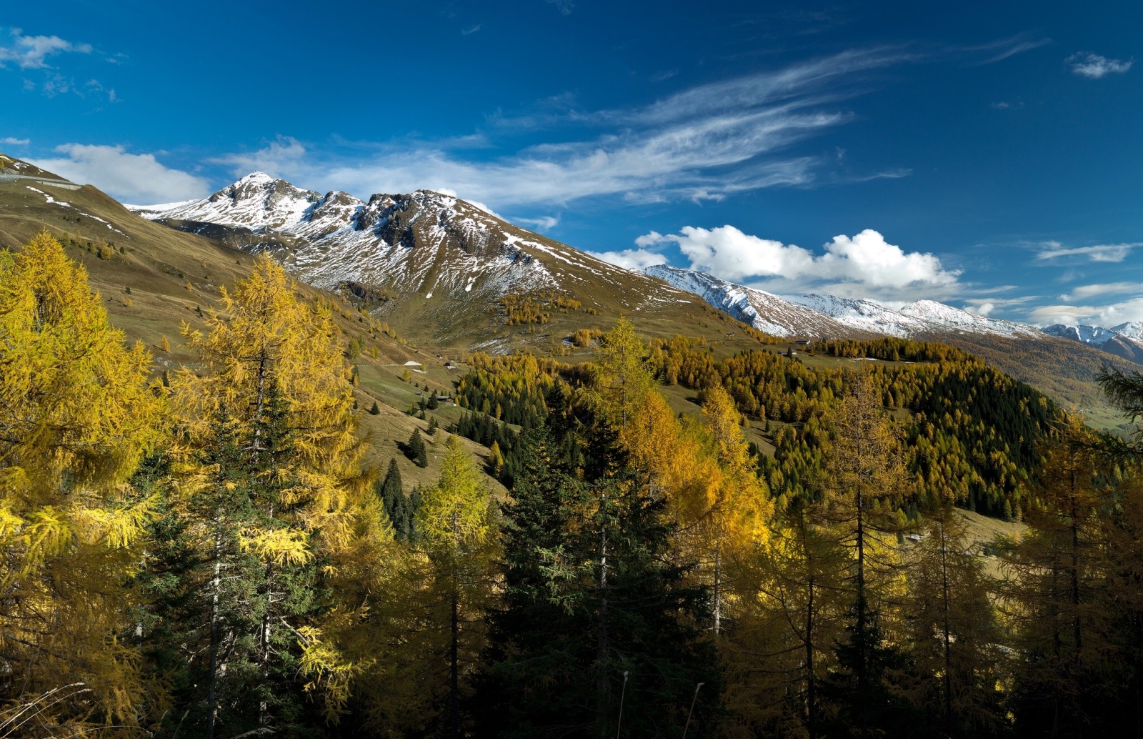 herfst, bomen, bergen, Oostenrijk, Salzburg, Alpen, Zell ben zien