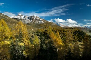 Alpes, Áustria, outono, montanhas, Salzburg, árvores, Zell am see