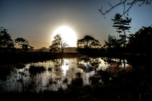 innsjø, landskap, natur, refleksjon, silhuetter, himmelen, trær