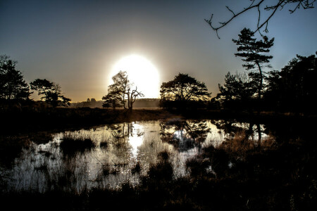 meer, landschap, natuur, reflectie, silhouetten, de lucht, bomen