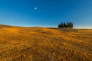 blauer Himmel, Bauernhof, Feld, Horizont, Linie, Der Mond, Bäume